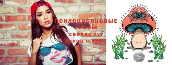 тгк Балахна
