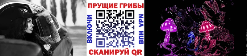 Псилоцибиновые грибы Psilocybine cubensis  Купить  Дагестанские Огни 