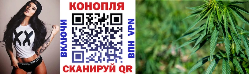 Бошки марихуана марихуана  Купить  Дагестанские Огни 